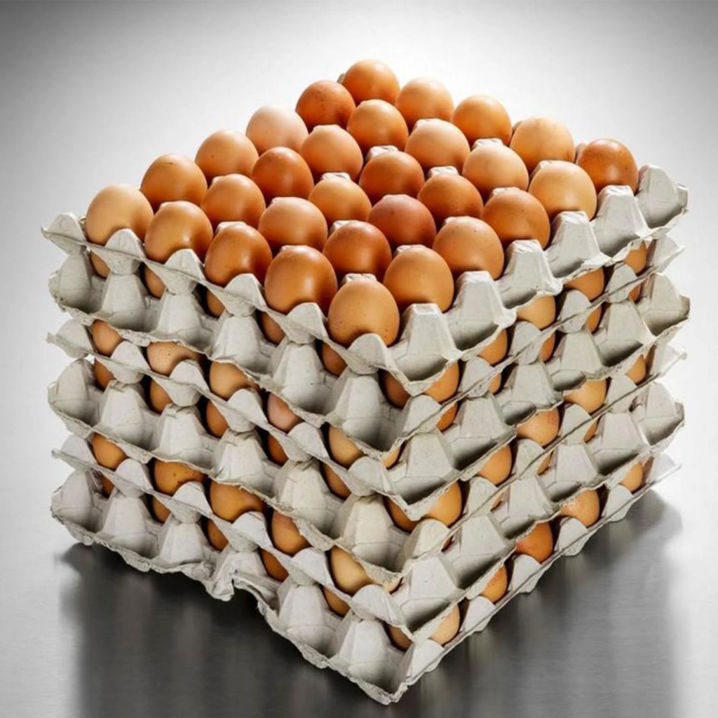 Ovos de Mesa